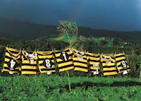 Rugby shirts, New Zealand Rugby shirts, New Zealand