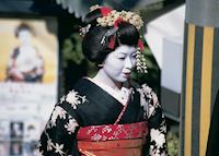 Traditional Geisha Traditional Geisha