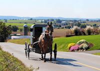 Amish horse-drawn buggy Amish horse-drawn buggy