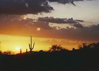 Sunset in the Sonoran Desert near Phoenix Sunset in the Sonoran Desert near Phoenix