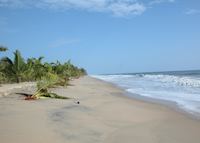 Marari Beach Resort, Marari Beach Marari Beach Resort, Marari Beach
