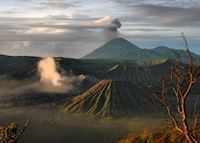 Sunrise over Mount Bromo, Indonesia Sunrise over Mount Bromo, Indonesia