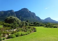 Self-drive to Kirstenbosch National Botanical Gardens,Cape Town Self-drive to Kirstenbosch National Botanical Gardens,Cape Town