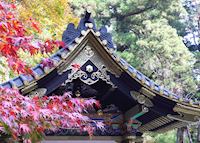 Temple roofs & autumn leaves, Nikko Temple roofs & autumn leaves, Nikko