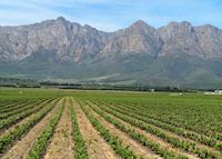 The Winelands, South Africa The Winelands, South Africa
