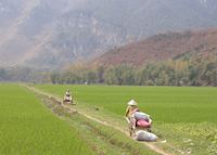 Mai Chau, Vietnam Mai Chau, Vietnam