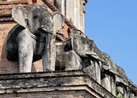 Elephants adorning Wat Chedi Luang Elephants adorning Wat Chedi Luang