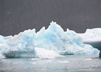 Icebergs in Prince William Sound Icebergs in Prince William Sound