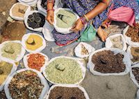 Delhi Market Delhi Market