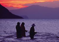 Trout fishing, Lake Taupo Trout fishing, Lake Taupo