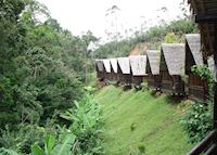 Feon'ny Ala, Andasibe-Mantadia National Park Feon'ny Ala, Andasibe-Mantadia National Park