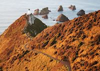 Nugget Point, Catlins Coast Nugget Point, Catlins Coast