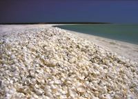 Shell Beach, Coral Bay Shell Beach, Coral Bay