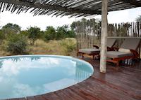 Africa On Foot, The Klaserie Private Game Reserve Africa On Foot, The Klaserie Private Game Reserve