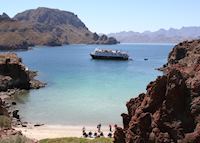 National Geographic Sea Lion/Sea Bird, La Paz National Geographic Sea Lion/Sea Bird, La Paz