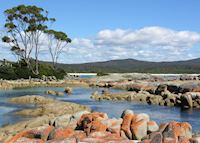 Binnalong Bay, nr. the Bay of Fires Binnalong Bay, nr. the Bay of Fires