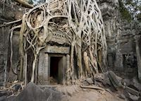 Ta Prohm Temple, Cambodia Ta Prohm Temple, Cambodia