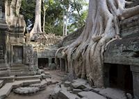 Ta Prohm Temple, Cambodia Ta Prohm Temple, Cambodia