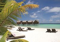 Beach, Constance Moofushi, Maldive Island Beach, Constance Moofushi, Maldive Island