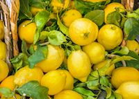 When life gives you lemons tour | Audley Travel