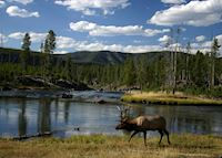 Visit Yellowstone National Park, The USA | Audley Travel