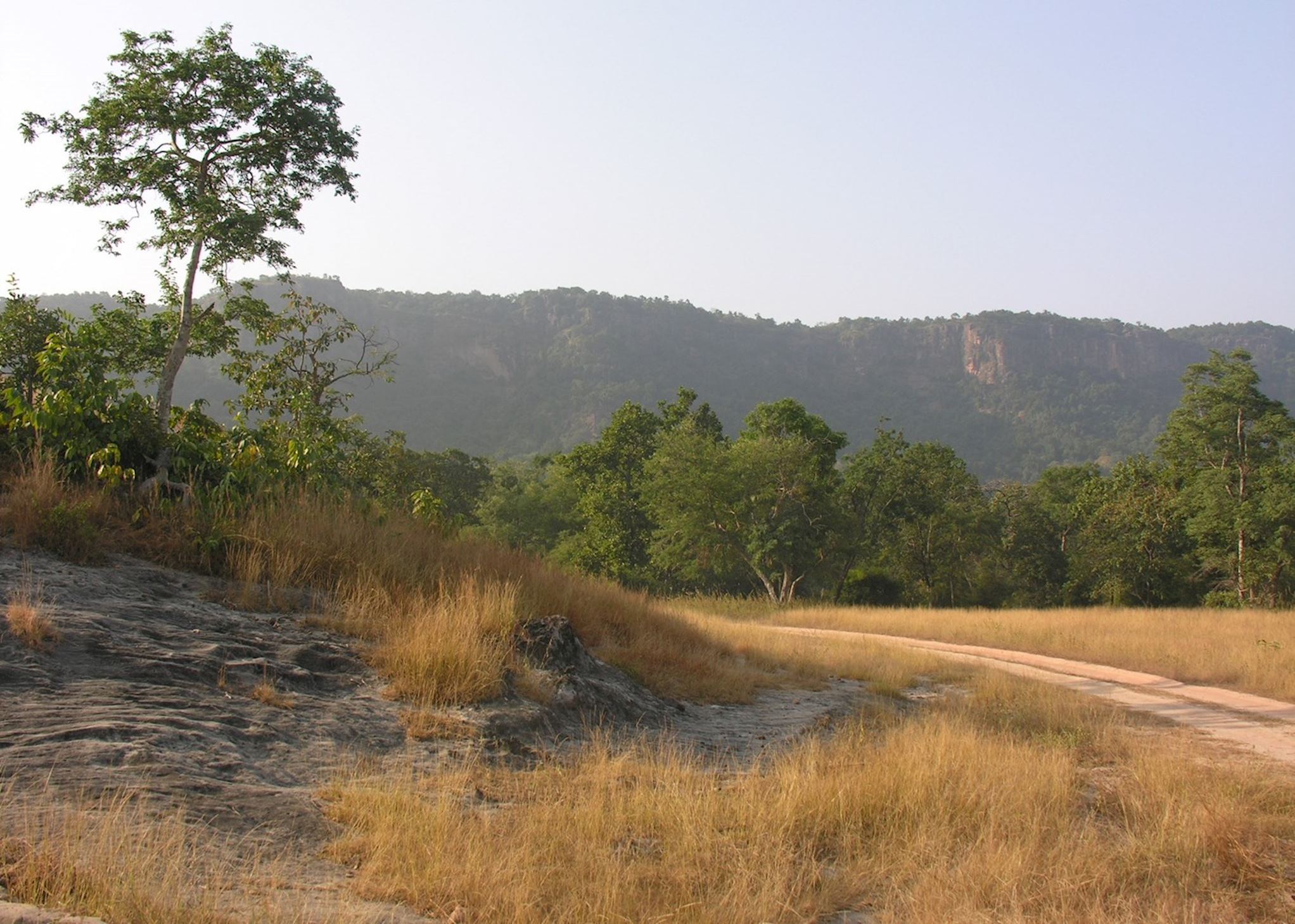 discover-bandhavgarh-national-park-travel-your-way