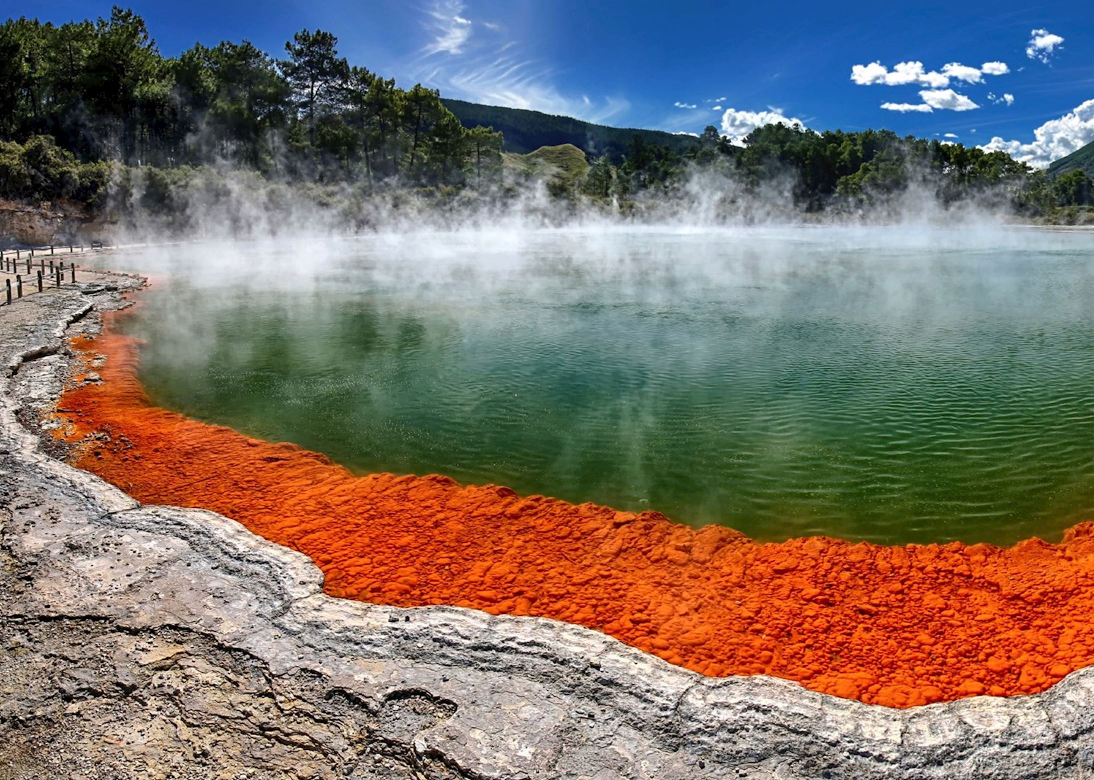 Visit Rotorua on a trip to New Zealand | Audley Travel CA