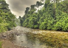 Mulu National Park