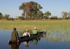 Viewing elephant on a mokoro trip