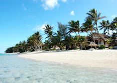 Little Polynesian, Rarotonga