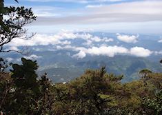 Kinabalu National Park, Malaysian Borneo