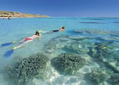 Snorkelling on the Reef