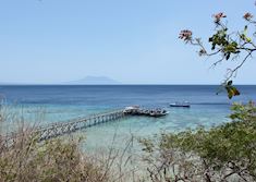 Menjangan Island