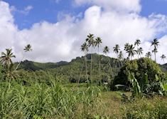 Mountains of Rarotonga