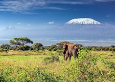 Mount Kilimanjaro National Park