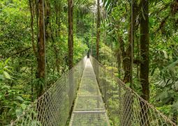 Suspension bridge, Arenal, Costa Rica