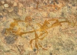 Aboriginal rock art, Kakadu National Park