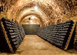 Champagne cellars