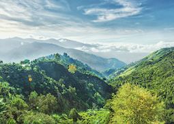 Blue Mountains Jamaica