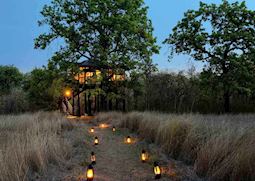 Pench Tree Lodge