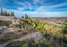 The Battle River valley from the Conglomerate Cliffs in Cypress Hills Interprovincial Park, Saskatchewan