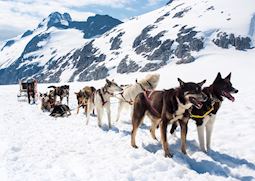 Dog-sledding, Alaska