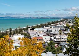 Napier