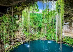  Cenote in the Yucatan Peninsula