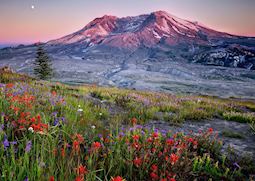 Mount Saint Helens, Washington State
