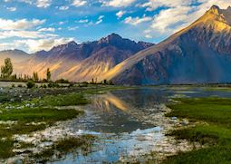 Nubra Valley in Ladakh