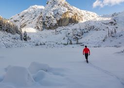 Snowshoe experience, Banff National Park