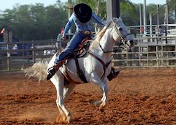 Texas cowgirl