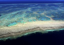 Great Barrier Reef