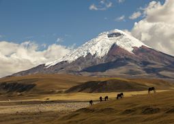 Cotopaxi National Park, Ecuador